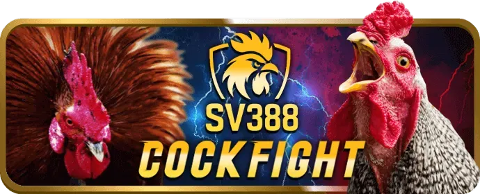 Sòng bạc trực tiếp fe88
